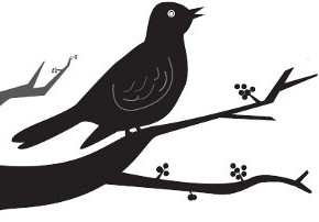 UR Here: The Ceremonies of Spring