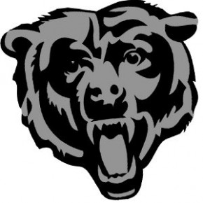 Townie Hawk: Bears Beat