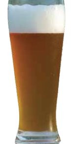 The Hops: Hefeweizen