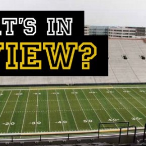 Townie Hawk: What's in a View?