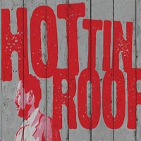Hot Tin Roof: Life in Miniature