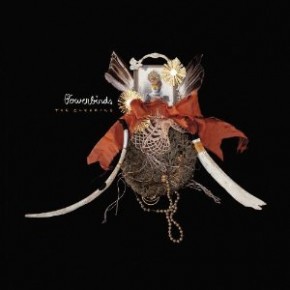 Bowerbirds Interview