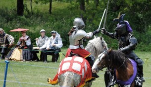 Renfaire
