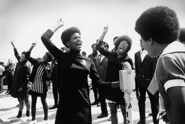 'The Black Panthers: Vanguard of a Revolution'