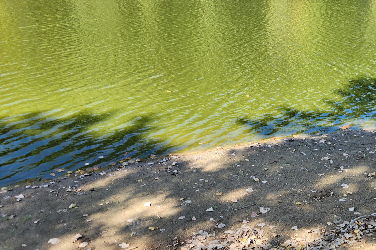 More than 700 Iowa water segments are impaired, according to a new state report