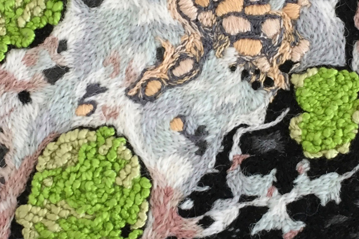 Book Review: ‘Burnt Mountain’ by Emily Wilson