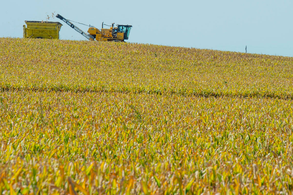 ‘It’s clear we need to change’: Report identifies four environmental factors raising cancer risk in Iowa